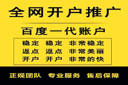 竞价推广策略解析：实战案例分析